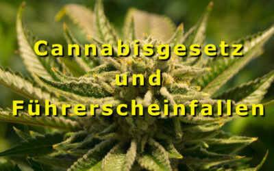 Cannabisgesetz und Führerscheinfallen